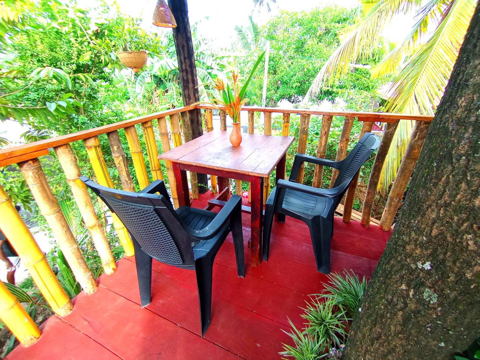Villa Parrot Tree House Mirissa Exterior foto